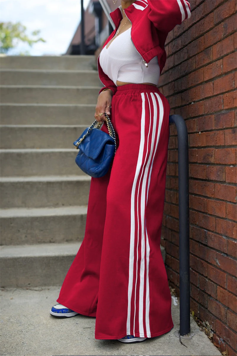 2 Piece Sets Women Outfit Fall Clothes 2024 Women Side Striped Zip Top Wide Leg Pant Sets Casual Tracksuits Set Women Sweat Suit