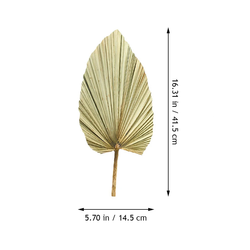 

Natural Dried Palm Leaf Decor Green Artificial Plant For Wedding Party Wall Hanging Window Display Holiday Theme Photo