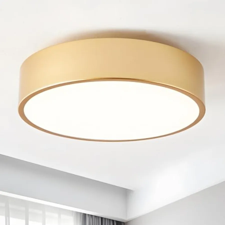 Modern Flush Mount Ceiling Light, 2-Light Round, 11.8