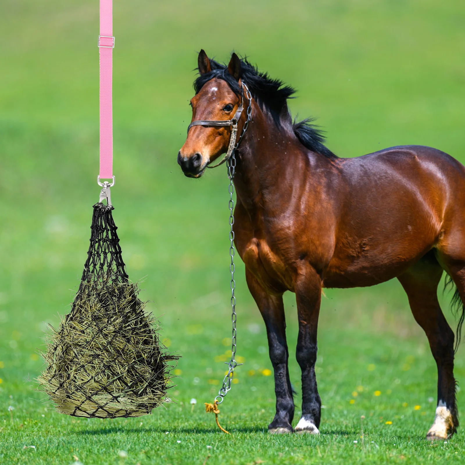 

Horse Strap Adjustable Wear-Resistant Feeder Hanger For Water Bucket Outdoor Hanging Use Bucket Accessories Feeder Supply