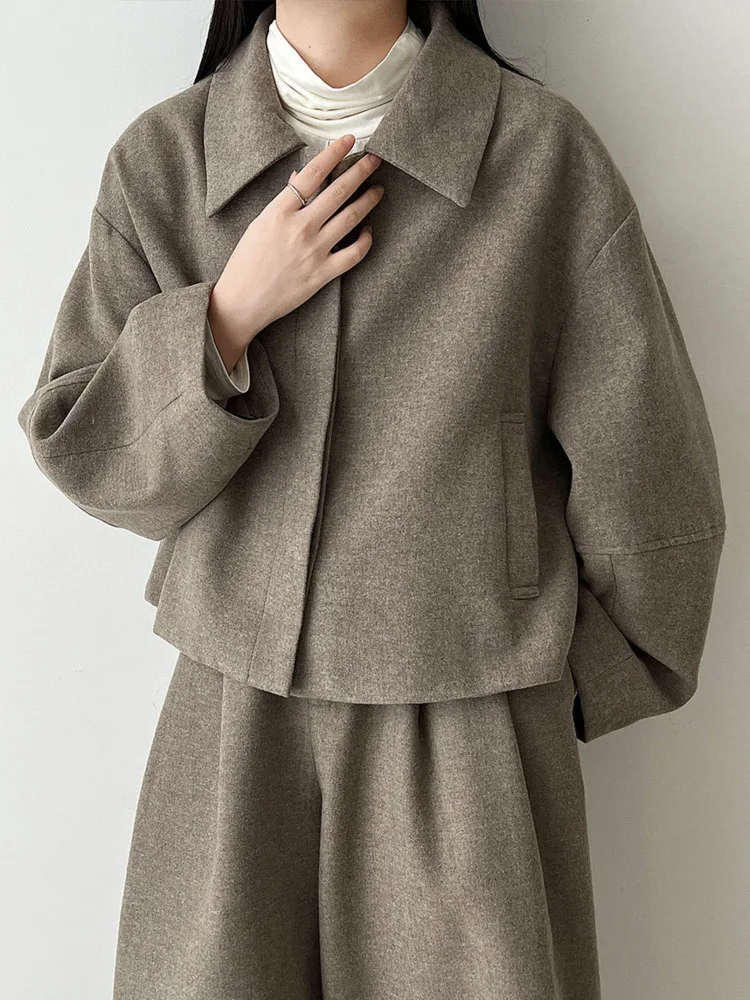 WHTREND 2-delige sets voor dames mode turn-down kraag wollen jas jas + rechte wijde pijpen broek herfst winter nieuwe WH1851