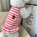 Pink 1