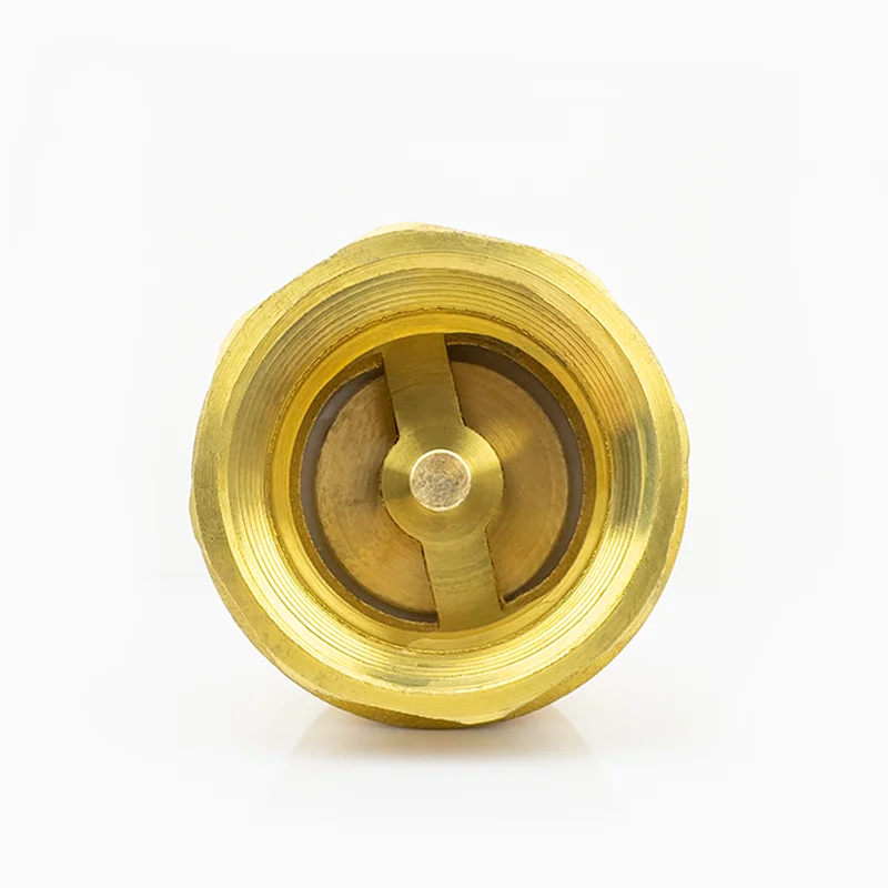 Brass Thickened Anti-reverse Water Check Valve Pipe Thread Plain Inside Screw Spring Swing Vertical Check Valve DN10~DN100