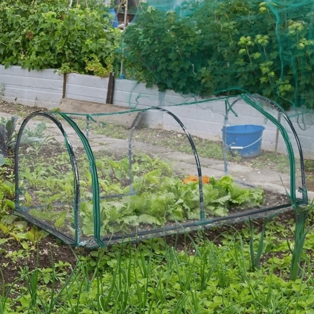 โรงเรือนปลูกต้นไม้ขนาดเล็กแบบโ - Greenhouse Plastic Film บทวิจารณ์และราคา