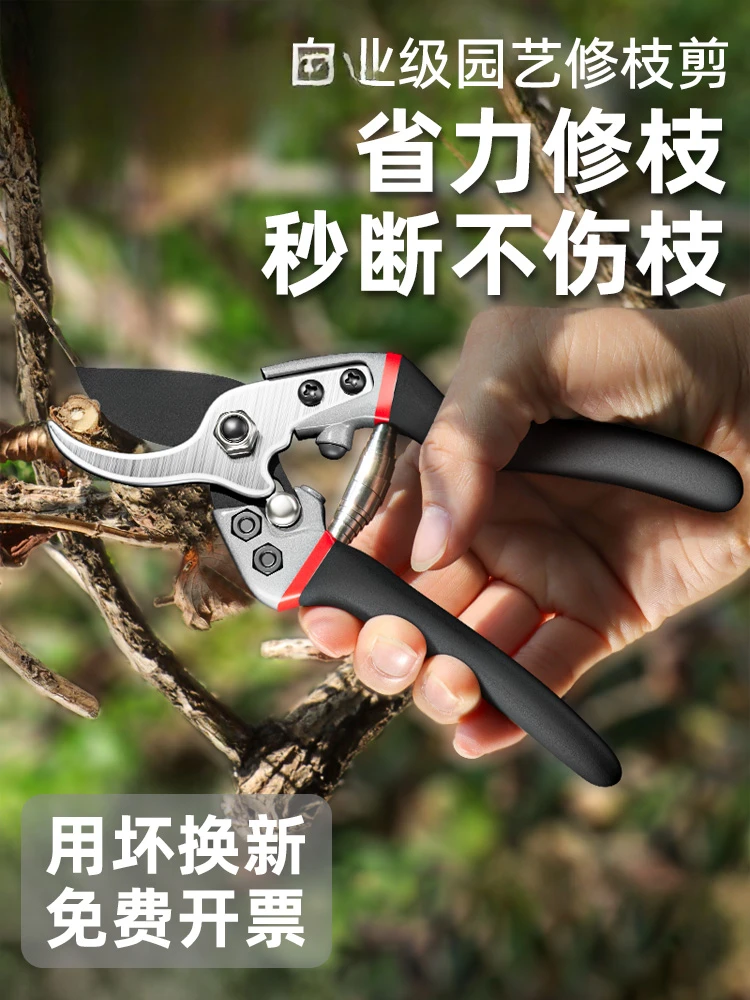 Pruning shears gardening tree  pruning fruit tree pruning floral