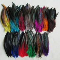 13 Kind Of High Quality DIY Dye Pheasant Feather 50 Root Sell 12.5-20cm/ 5-8''