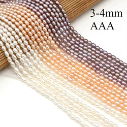 3-4mm AAA High Quality Women Rice Natural Freshwater Pearl Bead for Needlework Jewelry DIY Necklace Bracelet Accessories Gift