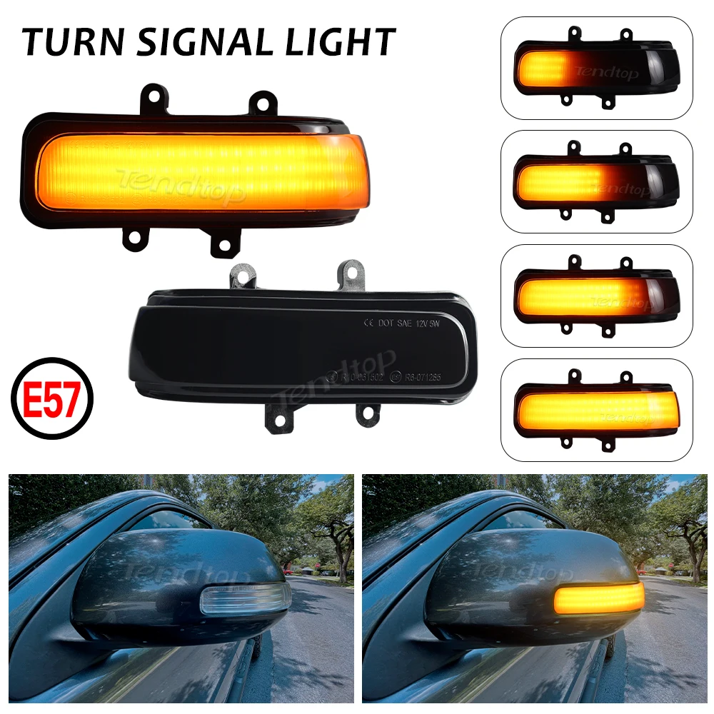 Side Mirror Indicator Dynamic LED Turn Signal Light For Toyota RAV4 XA30 Vanguard Estima Alphard Noah Voxy Sienna 4Runner Tacoma