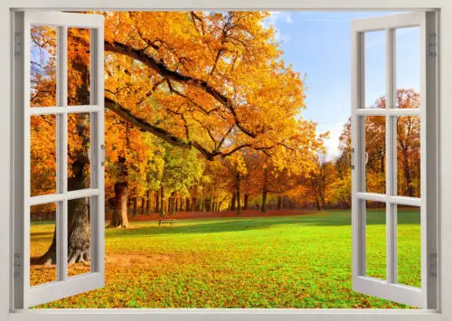 

Autumn Tree Leaves Falling Summer Sun Window Art Film Print Silk Poster Home Wall Decor 24x36inch