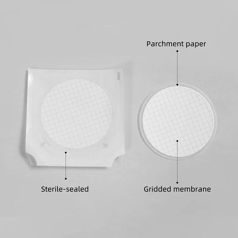 Microbial Limit Test Sterile MCE Gridded Membrane 47mm 0.45um 0.22μm Hydrophilic Filter Laboratory Mixed Cellulose Ester