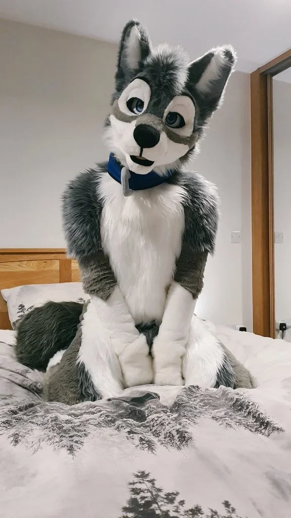 

Костюм-фурсьют Хаски-лиса серо-белый для Хэллоуина, Рождества, маскарадных вечеринок, наряд в виде мультяшного персонажа животного