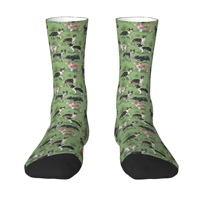 Kawaii Printing Kawaii Border Collie Dog Socks for Men Women Stretch Summer Autumn Winter Pet Animal Crew Socks