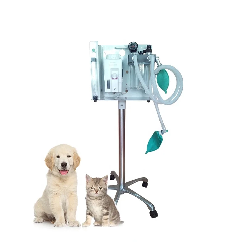 

Hospital Veterinary Equipment Portable Handheld Vet Anesthesia Machine For Animal Use