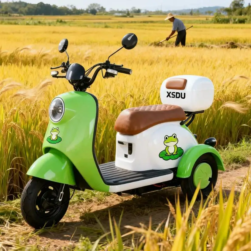 

Электрический трицикл для взрослых, электрический велосипед для доставки, произведенный в Китае