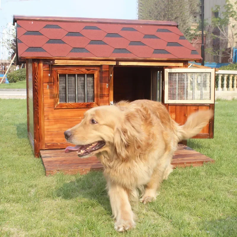 Outdoor solid wood Labrador kennel waterproof small, medium and large dog cage Golden Retriever dog house teddy dog room