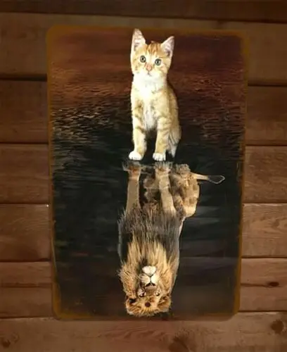 Kitty Cat Lion Reflection Perception of Yourself 8x12 Metal Wall Animal Sign