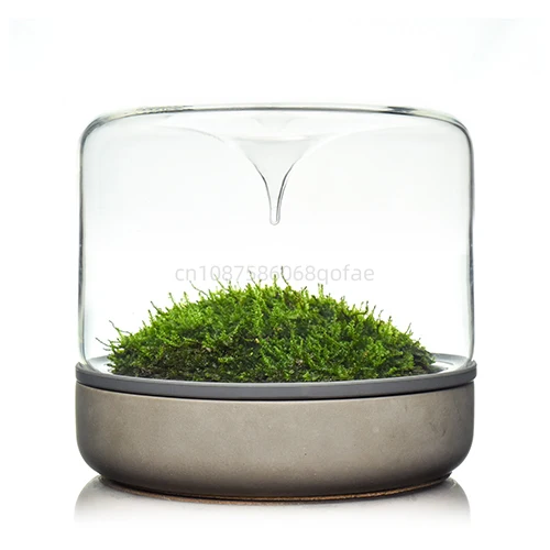 

Geonature Momo-M Geometric Natural Medium Moss Landscape Bottle Marble Bottom