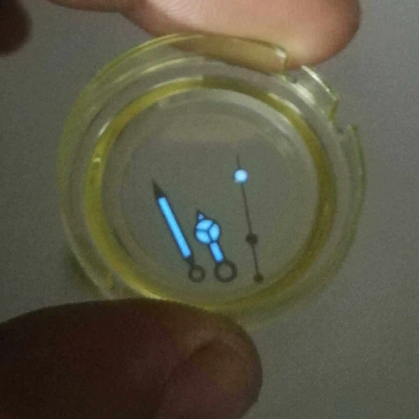 

2836 2824-2 watch blue luminous 8215 calibre 8205 pearl 2813