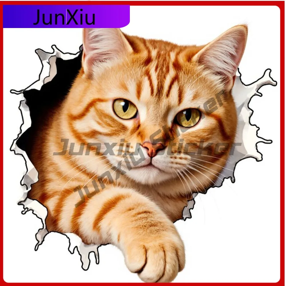 

Single Decal Featuring a 2D Flat Design of Ginger Tabby Cat with Pink NoseTren Car sticker