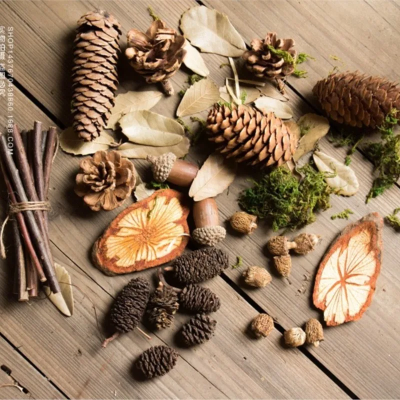 

Photography Photo Props Natural Dried Flower Pinecone Series Wood Wool Natural Straw Wood Chips Dry Leaves Moss Dry Plant Set