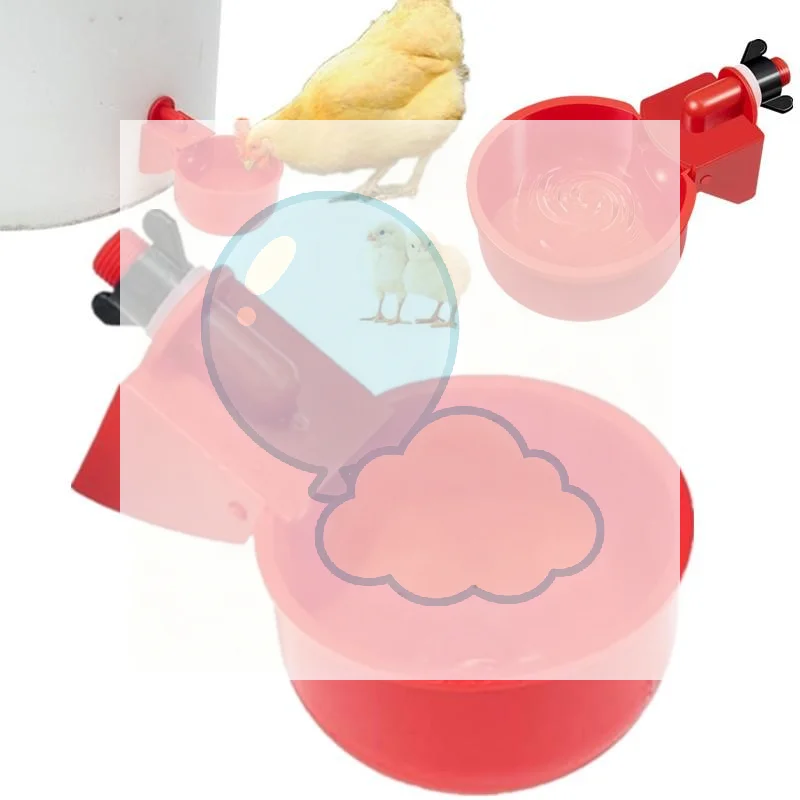 Aliexpress 1/2 Pcs Chicken Drinking Bowl Drinking Water Quail Poultry Automatic Water Dispenser Duck Pigeon Free Range Chicken Farm Suppli - Aliexpress Deal