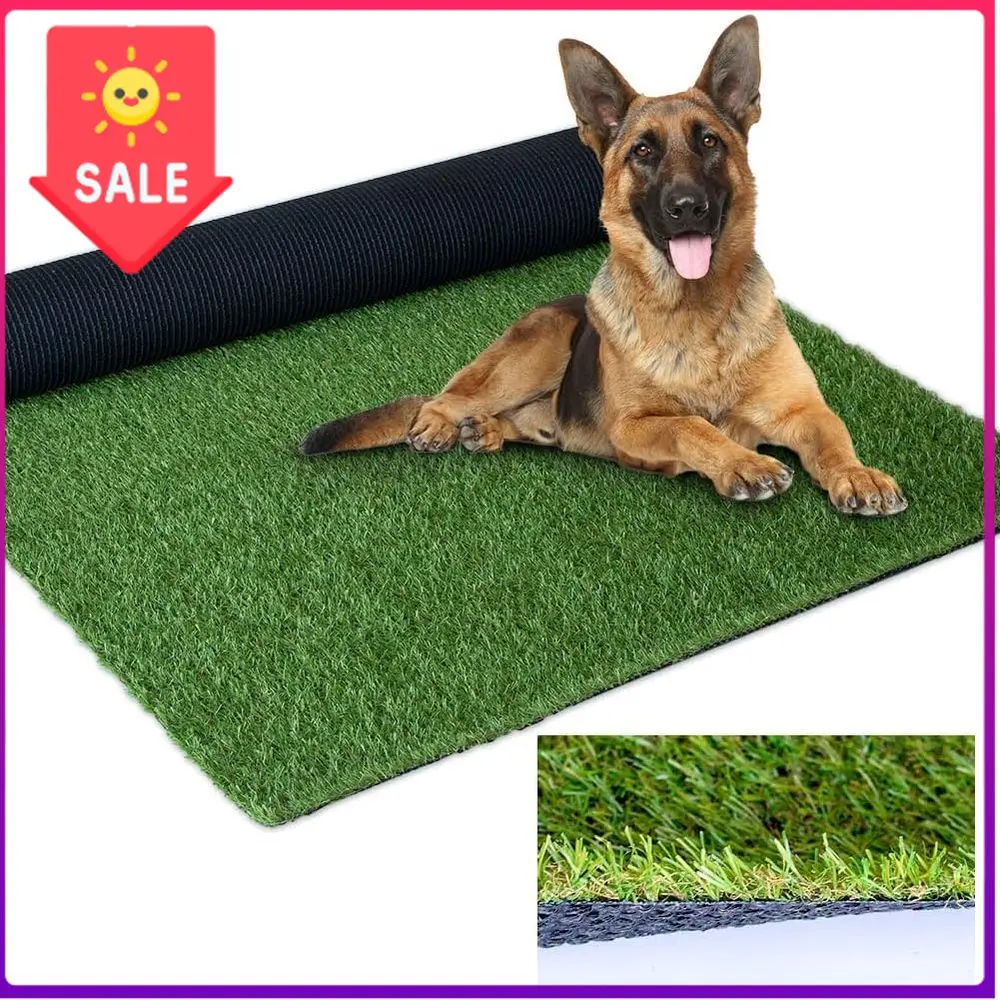 

Bestseller10ft x 12ft Artificial Turf, 120 Sq Ft, 0.8in Thick, Realistic Synthetic Grass for Outdoor Spaces and Pet Areas