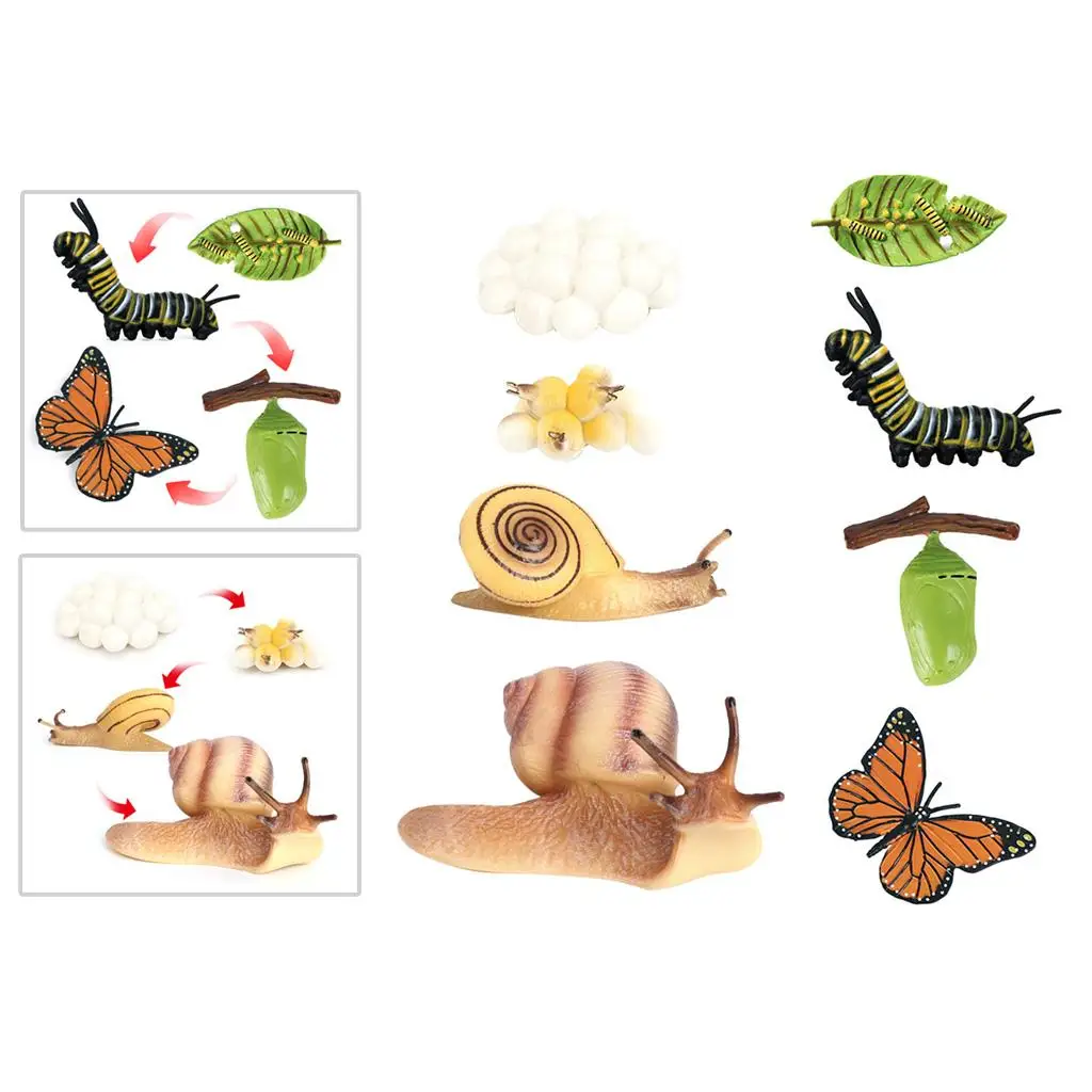 

2 Set Simulation Butterfly Snail Growth Model Playset Child Learning Toys