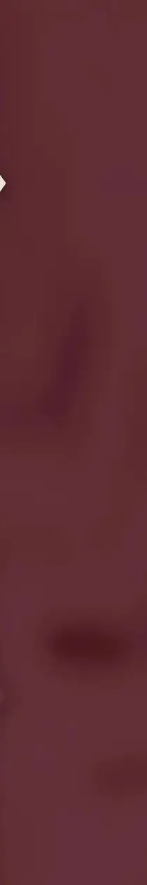 Dental Dam Hole Pun… - image