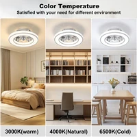 16 Inch Ceiling Fan LED Ceiling Fan Light with Remote Control Infinite Dimming 6 Levels of Wind Speed Living Room Bedroom Chandelier Fan 2