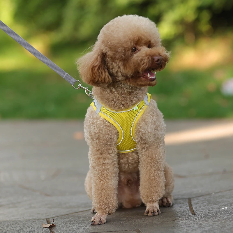 Cddmpet Welpen geschirr Weste atmungsaktives Netz Hunde geschirr und Leine Set für kleine Hunde Katzen zu Fuß Blei Leine Mops Haustier zubehör