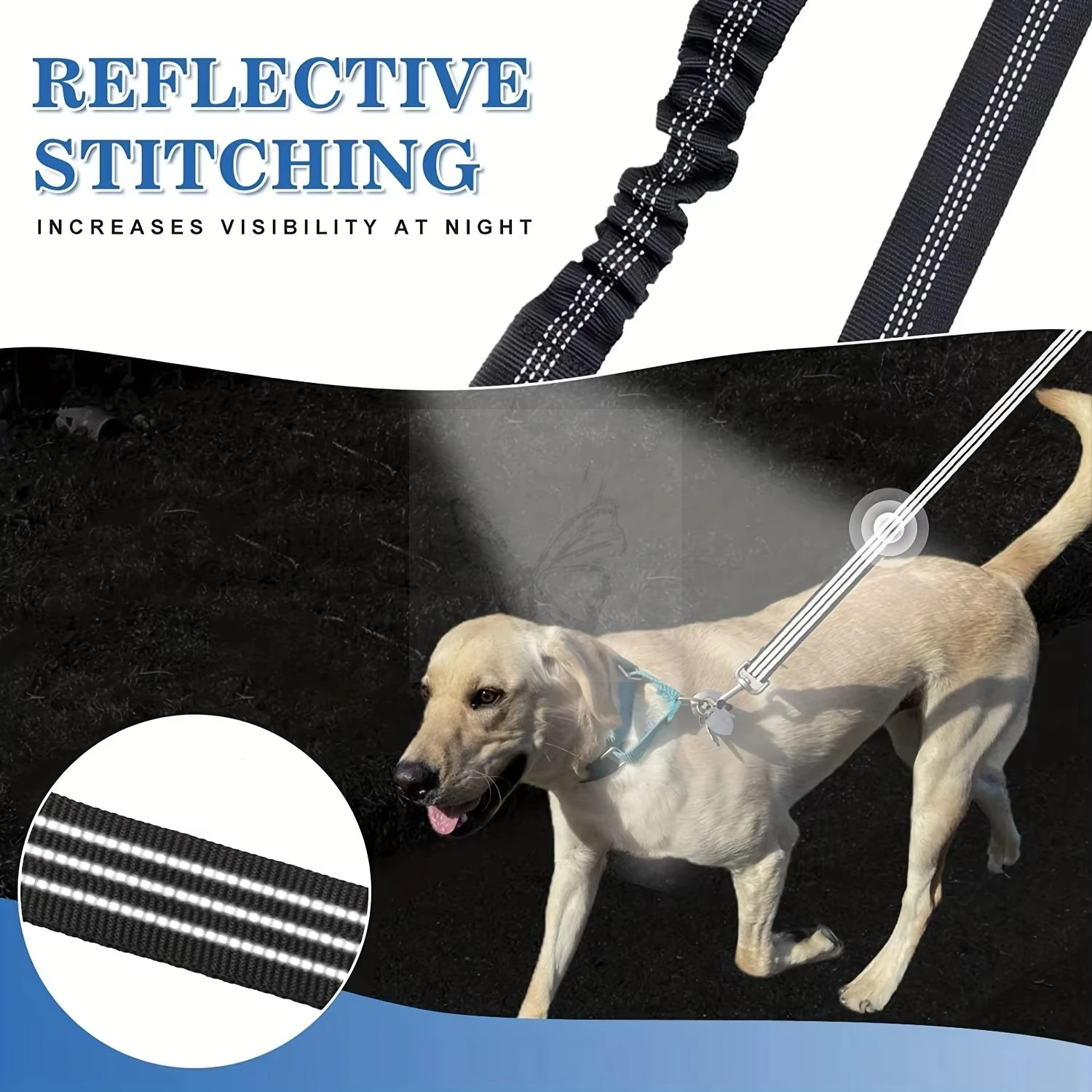 Thumbnail 4 - #61 Best Dog Leads to Buy In 2026