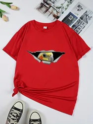 Women's Casual Sporty T-Shirt Animal Parrot Eye Print Comfort Fit Short Sleeve Tee Fashion Breathable Casual Top