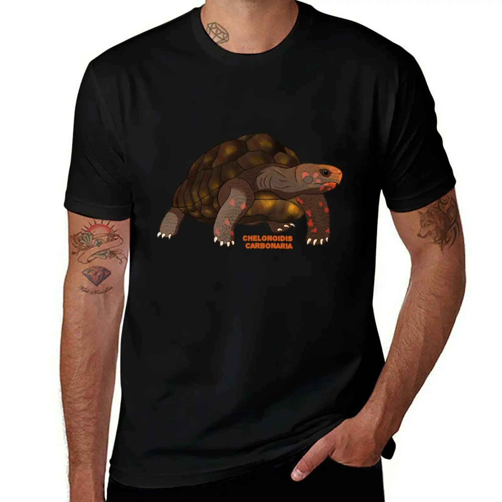 Yellow-footed tortoise - Chelonoidis carbonaria T-Shirt summer clothes sports fans cute tops mens graphic t-shirts anime