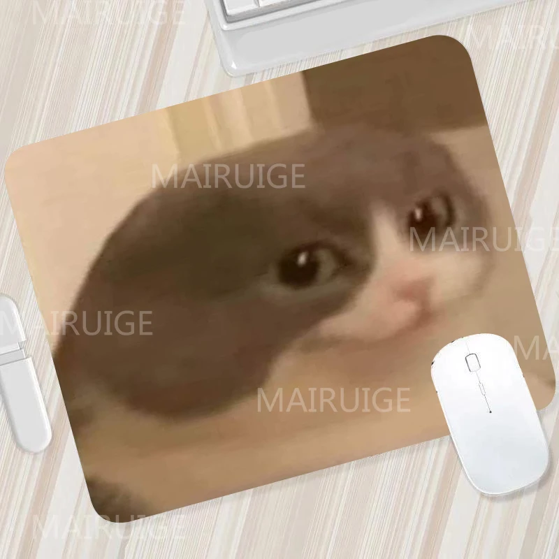 하얀색
