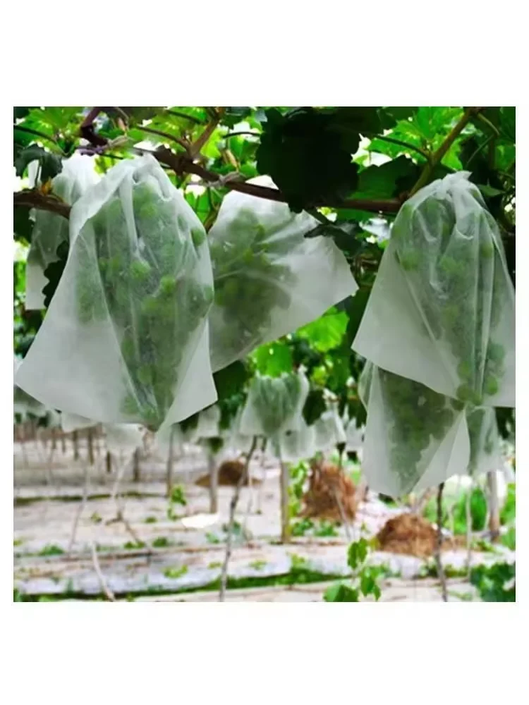 50Pcs Garden Fruit Protection Bags For Grapes Mesh Bags Against Insect Pest Bird Proof Drawstring Plant Net Bags