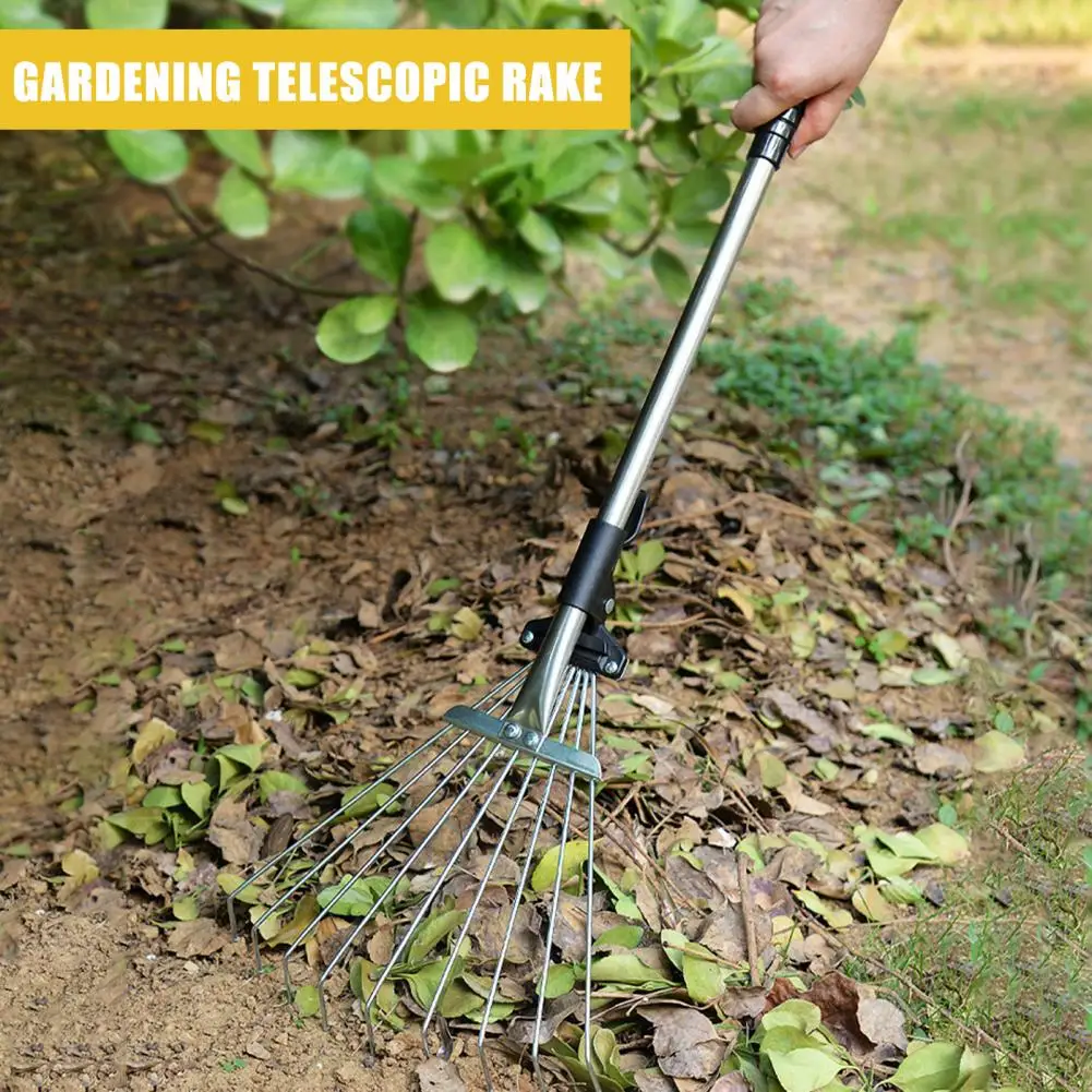 Griffklaue: Der perfekte Helfer für Gartenarbeiten