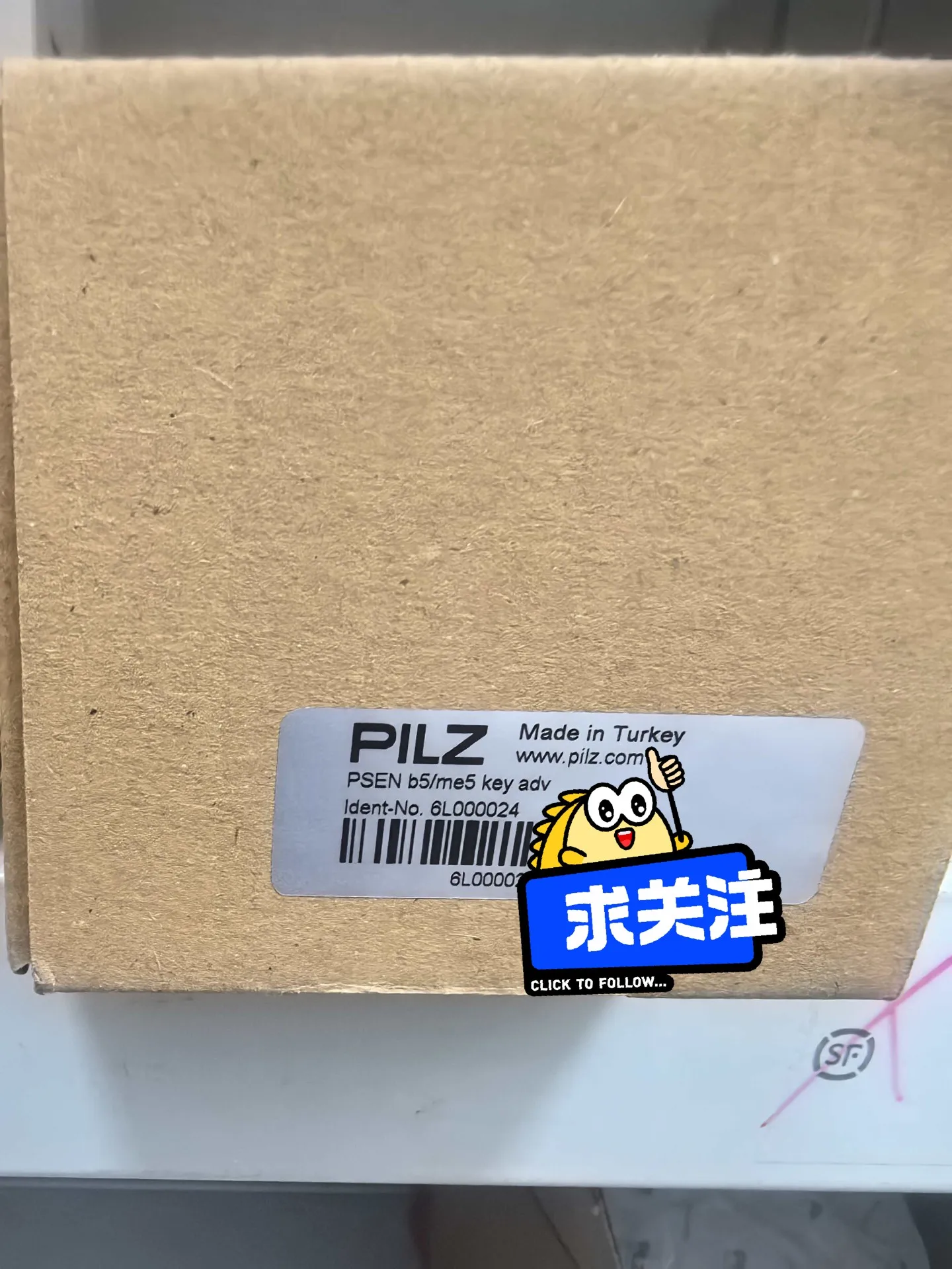 Peel Magnetic PILZ, Security Door Lock, 6L000024, Small Stock, Clear,