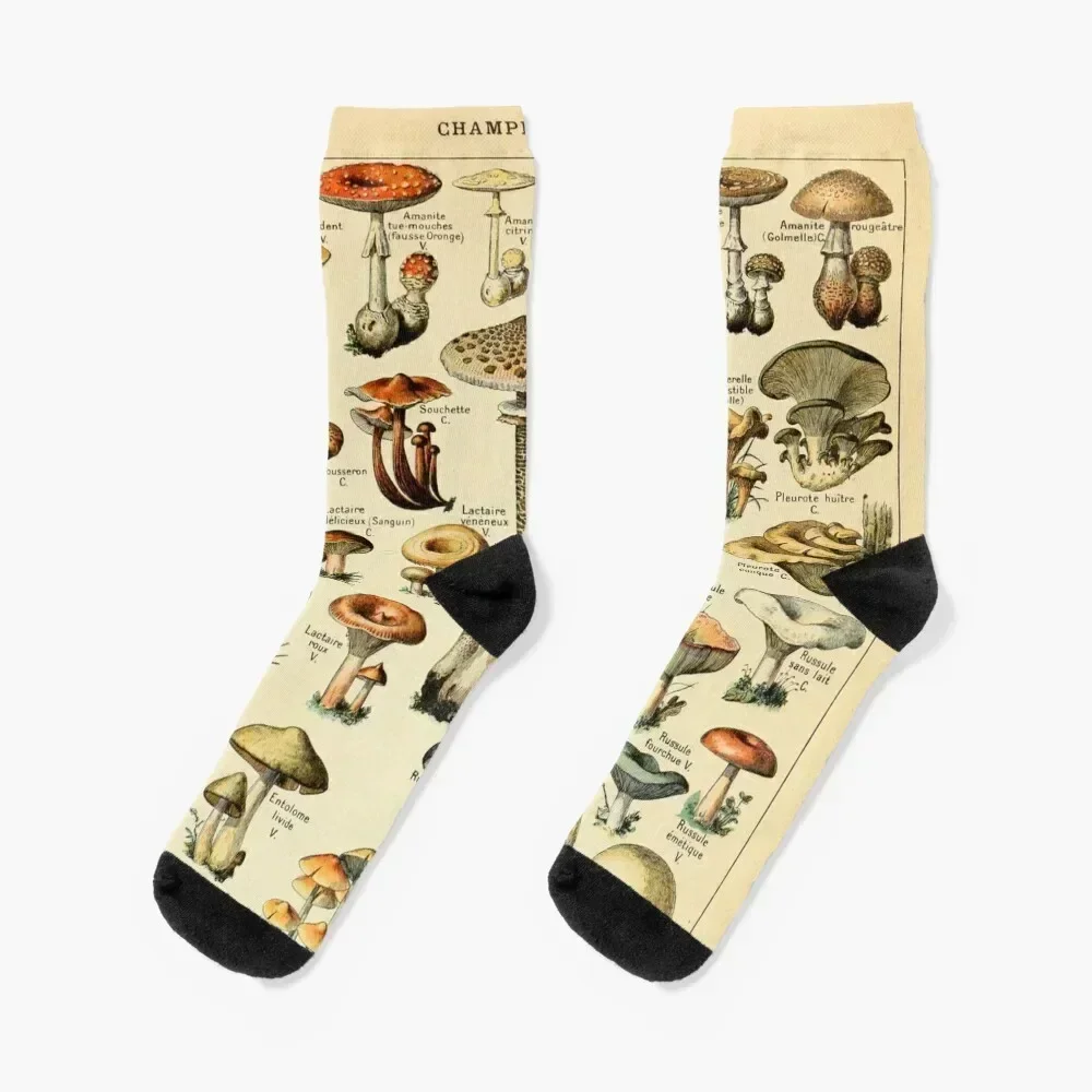 Mushrooms Socks custom sports Running valentine gift ideas men cotton high quality Men's Socks Luxury Women's