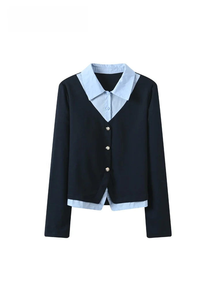 

Модный комплект из двух предметов для полных женщин: утягивающая блузка с длинным рукавом и брюки, весенняя коллекция, элегантный индивидуальный стиль, смесь полиэстера и хлопка