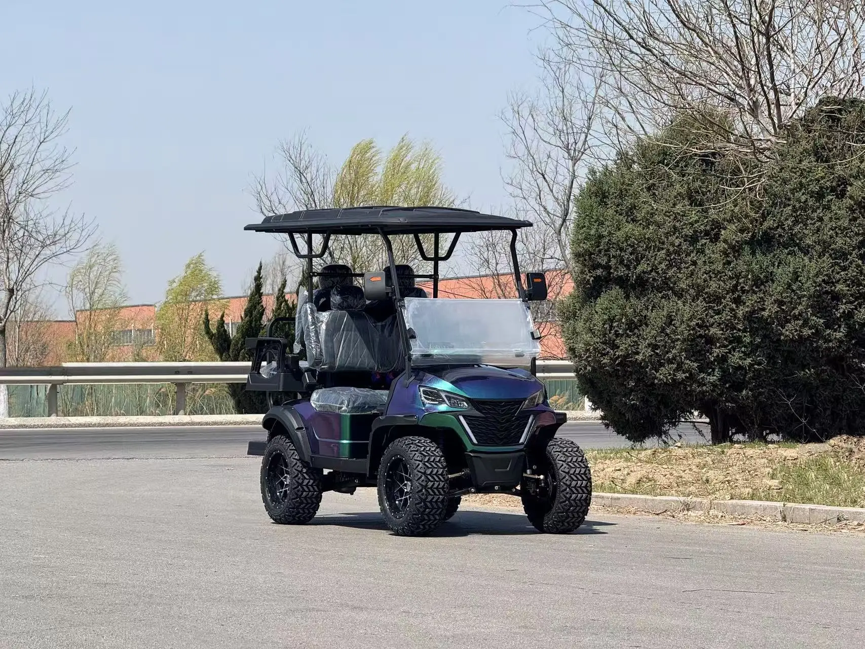 عربة جولف جديدة بمقعدين 4+2 تتسع لـ 6 أشخاص 72 فولت عربات جولف كهربائية مرفوعة #2