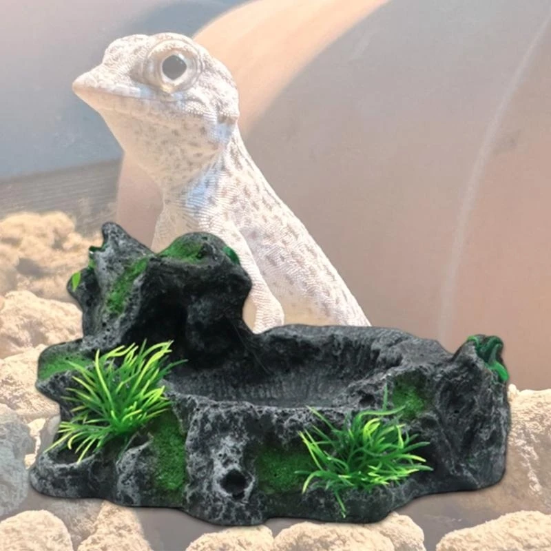 Anfibios mascotas beber cuencas acuarios paisajismo decoración platos comida para mascotas .y5ga