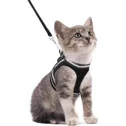 Cat Harness and Leash Set for Walking Escape Proof, Adjustable Soft Kittens Vest with Reflective Strip for Cats, Comfortable Out