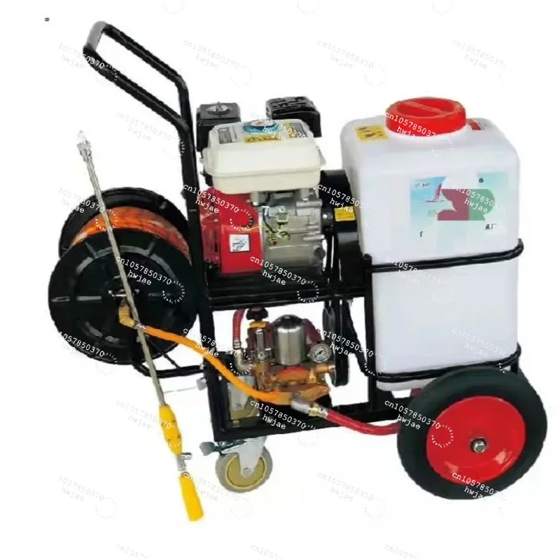 Electric Motor Power Sprayer Farm Hand Sprayer Pump Spray Machine for Price