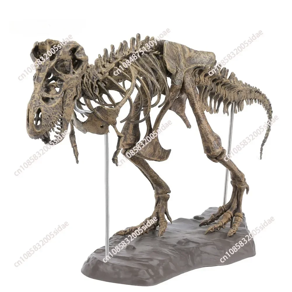 4D Tyrannosaurus Rex Excavation Science Kit, Dig Dinosaur Fossil & Assemble Skeleton Skull, Ancient Animal Educational Toy