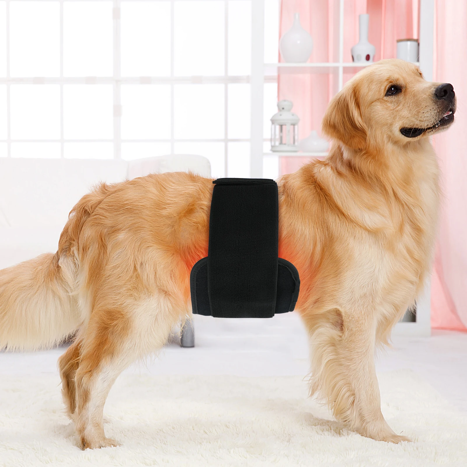 

ATV&UTVNew Product Intensity Control Led Red Light Therapy Belt for Cat and Dogs Red Light Therapy Belt Pad Dogs