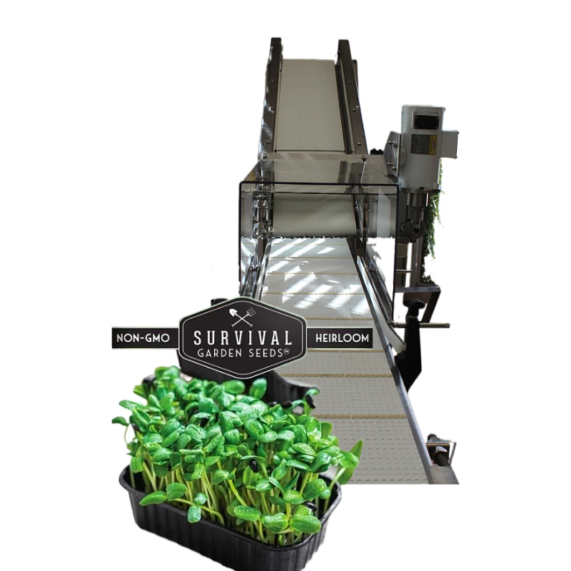 Quick-Cut the Process1020 Tray Automated Microgreen Tray Harvesting Machine With Conveyor Belt for Baby Leaf Lettuces