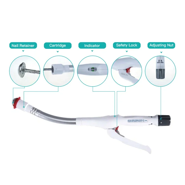 Disposable Intestine Powered Single Use Circular Stapler