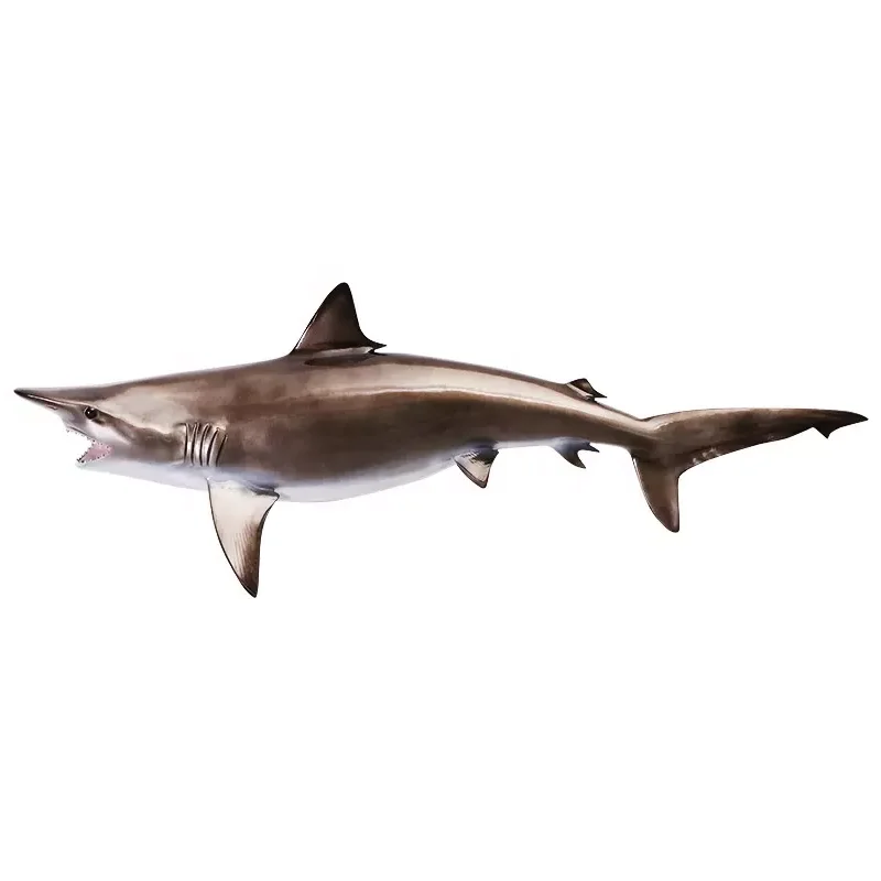 wall-mounted blacktip shark model wall decoration resin craft ornament