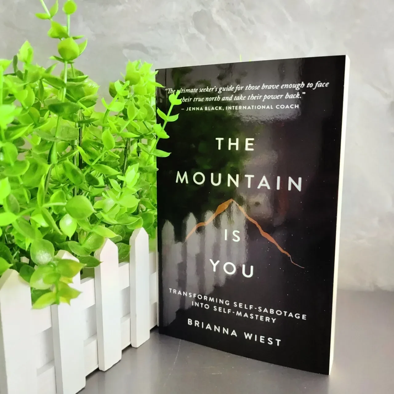 

The Mountain Is You Бриanna Wiest Бестселлер Conquer Self Sabotage Master Life