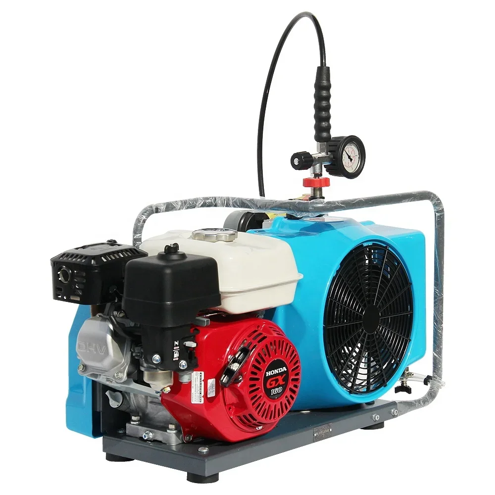 Sales 300bar Electric Petrol Diving Equipment Scuba Portable 250l Compressor Air Compressor for Diving